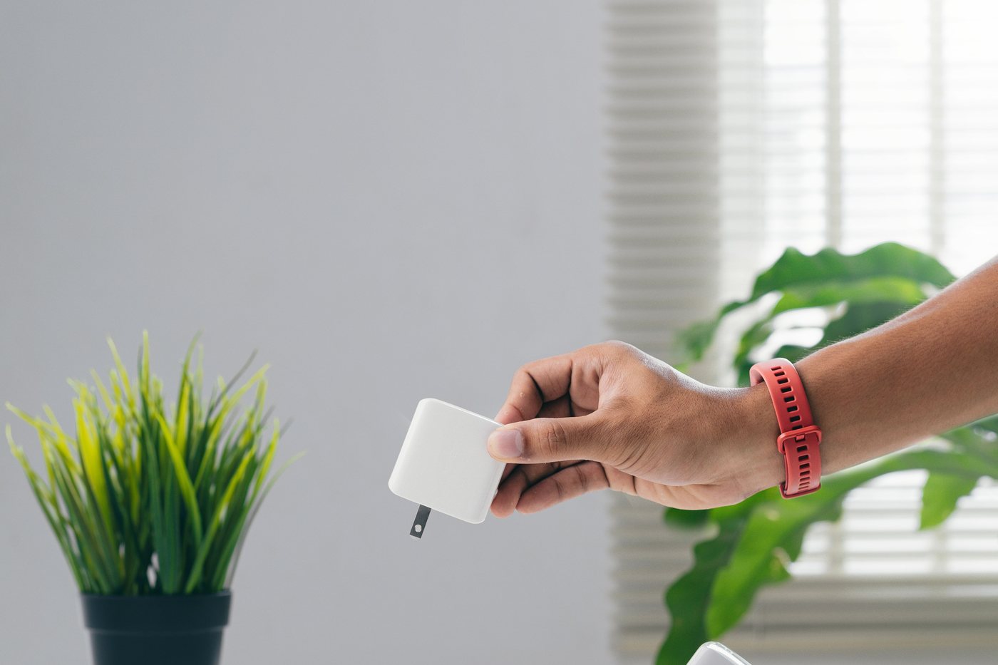 観葉植物のある明るい部屋で白い機器を手に持っているところ